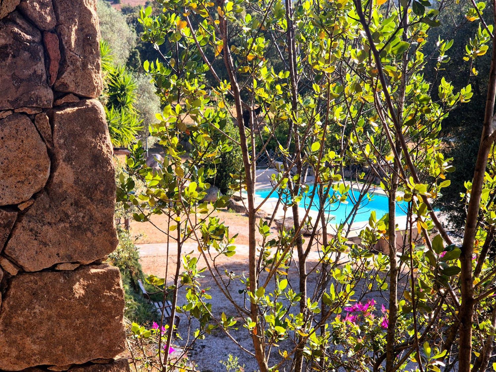 Agriturismo Desole Monti Exterior photo